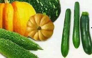 凡间吃瓜客,揭秘娱乐圈幕后故事