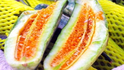 山东景点女子吃瓜,瓜香四溢引游客围观