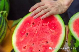 大学课堂里吃瓜,一场别开生面的知识盛宴