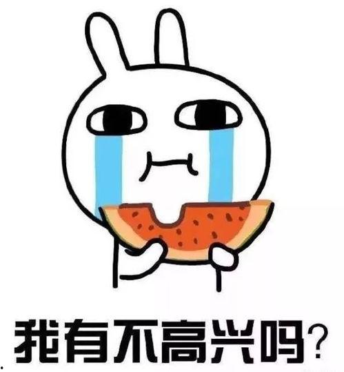 请掌柜吃瓜记,揭秘古代市井百态